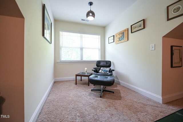 197 W Paige Wynd Dr, Angier, NC 27501 - photo 44