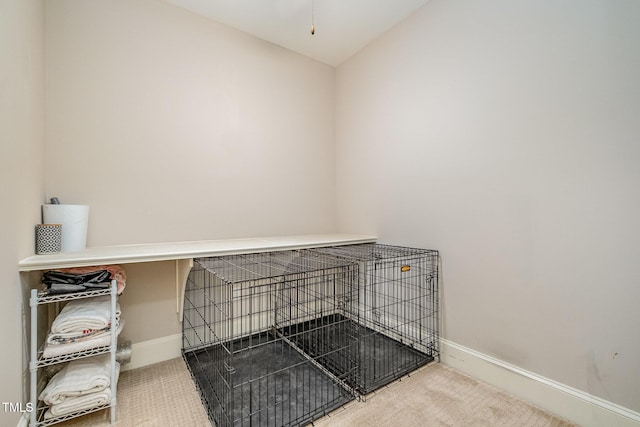 details featuring carpet and baseboards