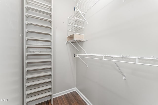 spacious closet featuring dark wood-style floors
