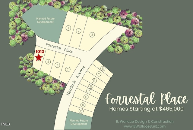 1013 Forrestal Pl, Durham, NC 27707 - map / location