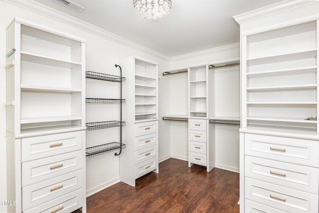 spacious closet with dark wood finished floors, visible vents, and a notable chandelier