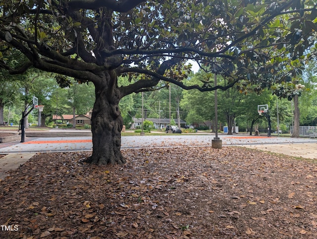 surrounding community with community basketball court