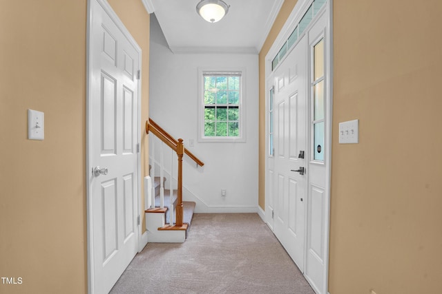 carpeted foyer entrance featuring crown molding, stairs, and baseboards