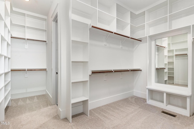 spacious closet featuring carpet floors and visible vents