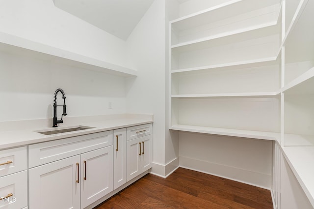 interior space with dark wood-type flooring, a sink, and baseboards