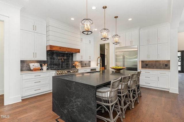 kitchen featuring a sink, appliances with stainless steel finishes, premium range hood, and decorative backsplash