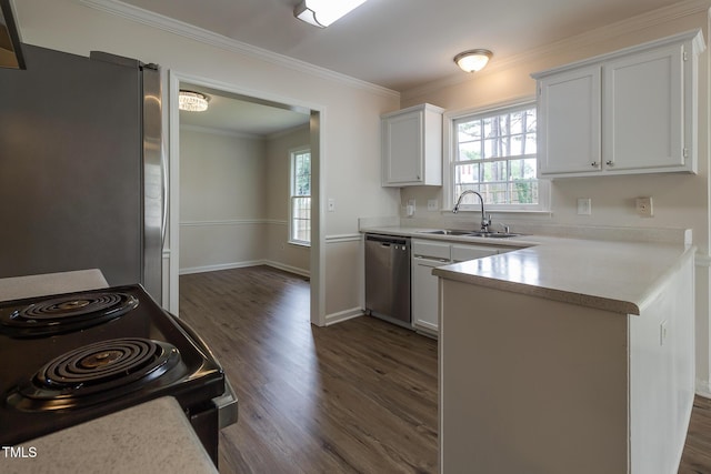 805 Penncross Dr, Raleigh, NC 27610 - kitchen featuring appliances with stainless steel finishes, a sink, dark wood-type flooring, plenty of natural light, and ornamental molding