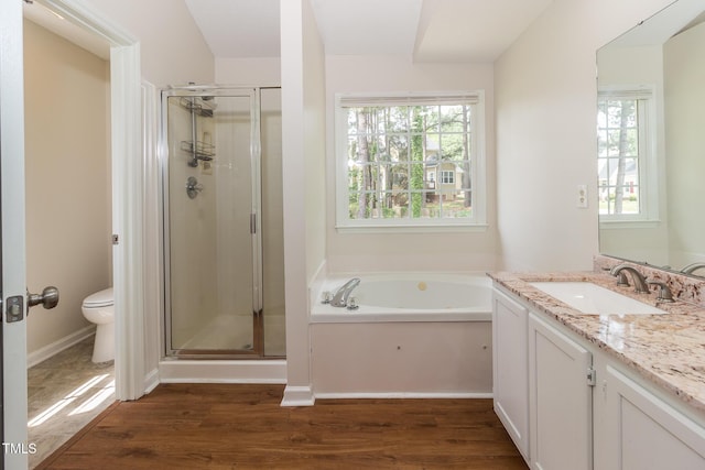 805 Penncross Dr, Raleigh, NC 27610 - bathroom featuring a shower stall, toilet, wood finished floors, vanity, and healthy amount of natural light