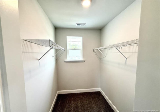 spacious closet featuring visible vents and carpet floors