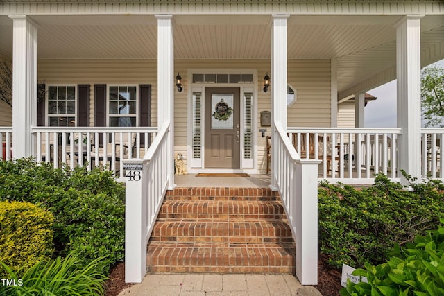 48 Falling Oak Ct, Clayton, NC 27520 - property entrance with covered porch