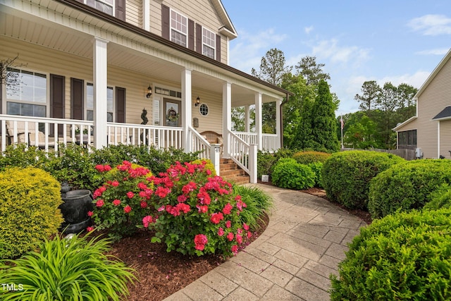 48 Falling Oak Ct, Clayton, NC 27520 - doorway to property with covered porch