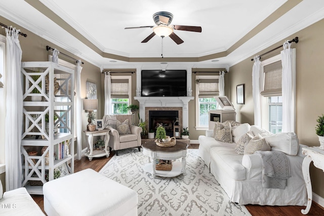 48 Falling Oak Ct, Clayton, NC 27520 - living room with a ceiling fan, plenty of natural light, a raised ceiling, wood finished floors, and ornamental molding