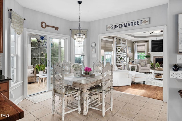 48 Falling Oak Ct, Clayton, NC 27520 - dining space with tile patterned flooring, ceiling fan, and a fireplace