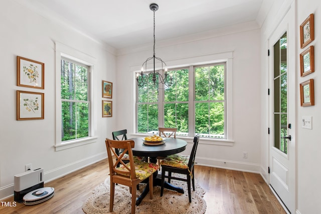 197 Boxwood Dr, Pittsboro, NC 27312 - dining room with healthy amount of natural light, a chandelier, hardwood / wood-style flooring, and baseboards
