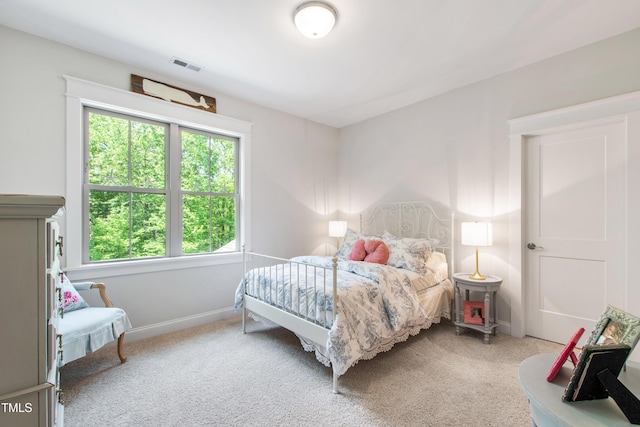 197 Boxwood Dr, Pittsboro, NC 27312 - bedroom with carpet flooring and baseboards
