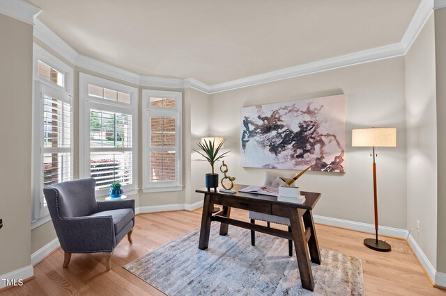 12508 Angel Falls Rd, Raleigh, NC 27614 - photo 4
