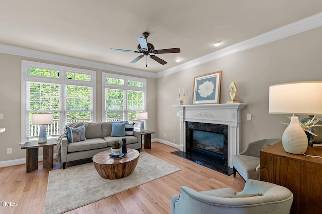 12508 Angel Falls Rd, Raleigh, NC 27614 - photo 14
