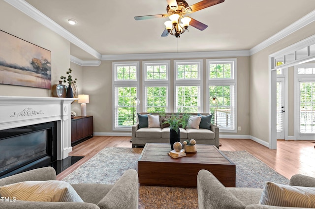 12508 Angel Falls Rd, Raleigh, NC 27614 - photo 17
