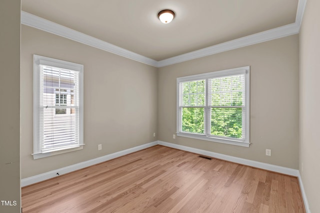 12508 Angel Falls Rd, Raleigh, NC 27614 - photo 19