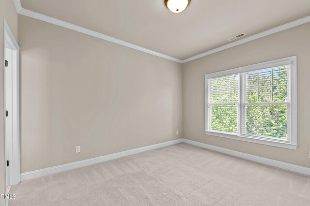 12508 Angel Falls Rd, Raleigh, NC 27614 - photo 36