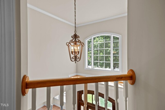 12508 Angel Falls Rd, Raleigh, NC 27614 - photo 26