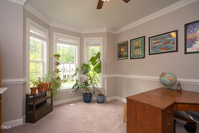 office space featuring carpet floors, ceiling fan, baseboards, visible vents, and crown molding