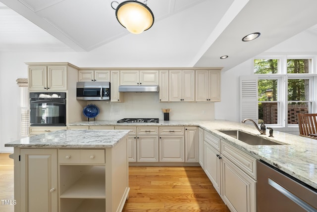 kitchen with open shelves, a sink, stainless steel appliances, lofted ceiling, and light wood-type flooring