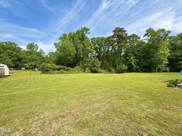 view of green lawn