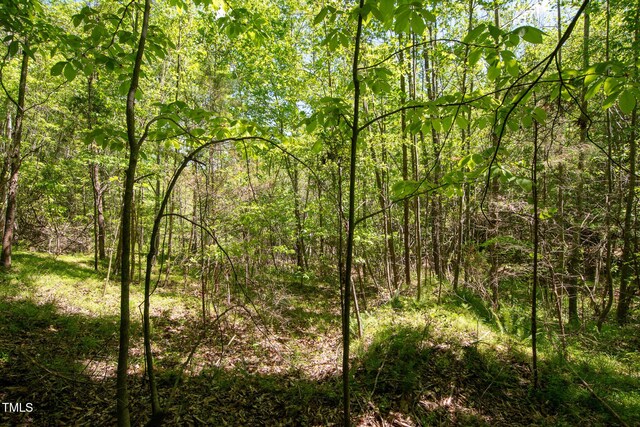 4100 High Rock Rd, Gibsonville, NC 27249