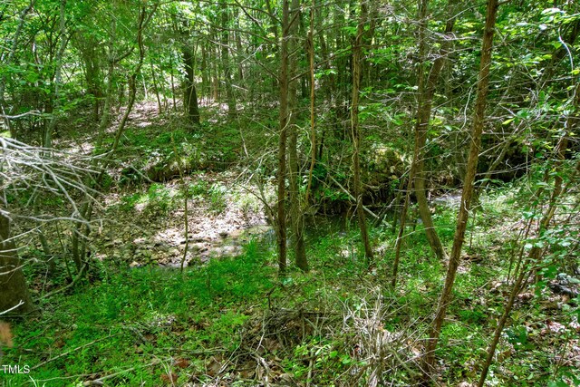 4100 High Rock Rd, Gibsonville, NC 27249