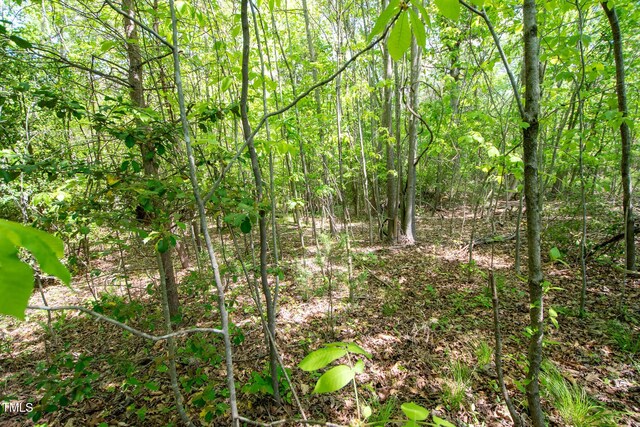 4100 High Rock Rd, Gibsonville, NC 27249