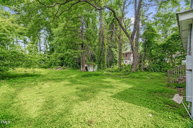 1219 Junction Rd, Durham, NC 27704 - view of yard with stairway