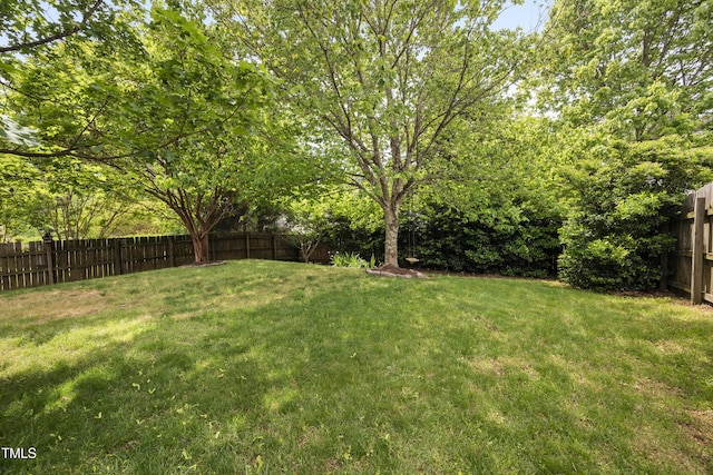 view of yard with a fenced backyard