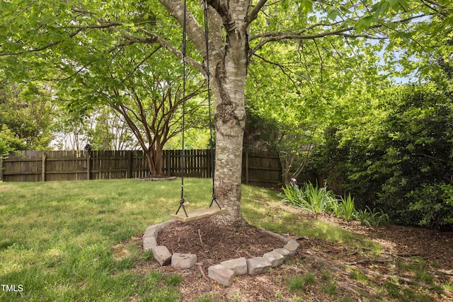 view of yard featuring a fenced backyard