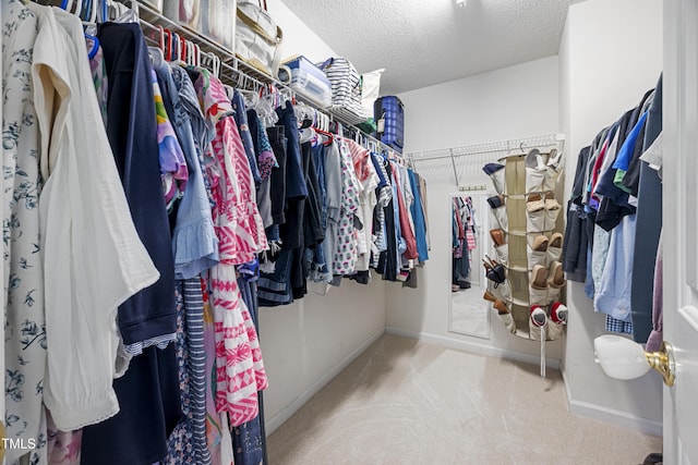 spacious closet featuring carpet floors