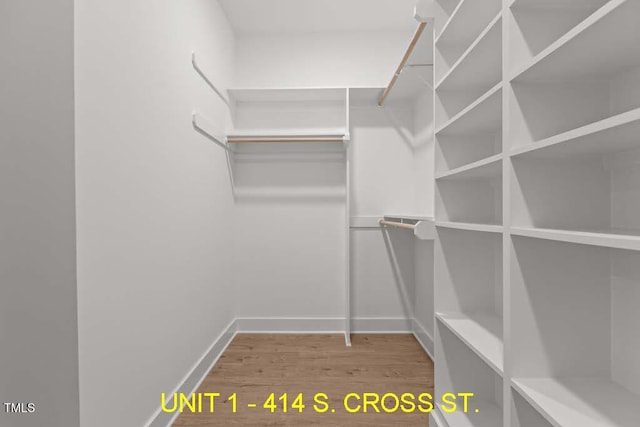 walk in closet featuring wood finished floors