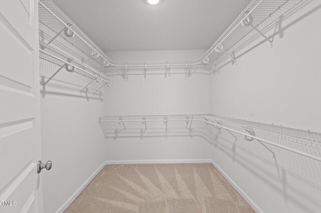 spacious closet with light colored carpet