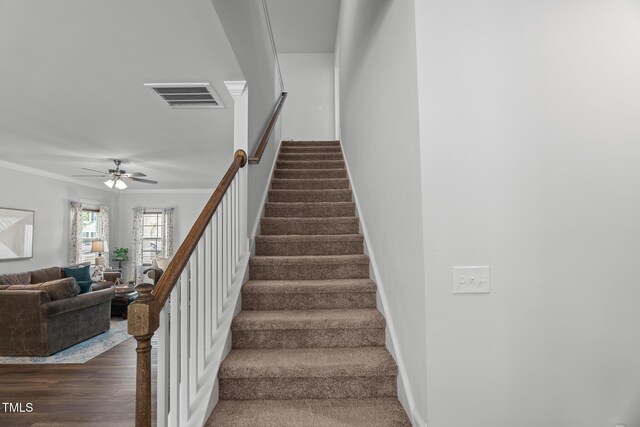 stairs with wood finished floors, visible vents, a ceiling fan, and ornamental molding