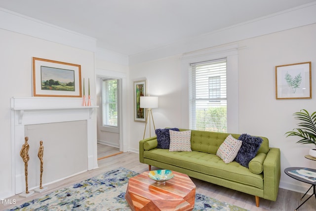 919 Orient St, Durham, NC 27701 - living room featuring baseboards, crown molding, and wood finished floors