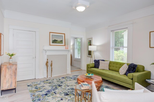 919 Orient St, Durham, NC 27701 - living room featuring ornamental molding, light wood-type flooring, and plenty of natural light