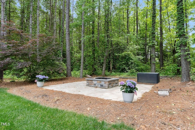 120 Wood Lake Dr, Fuquay Varina, NC 27526 - view of yard featuring a patio and an outdoor fire pit