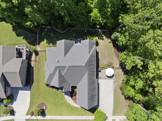 bird's eye view