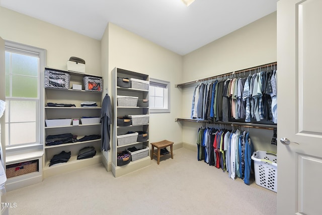 spacious closet featuring carpet floors