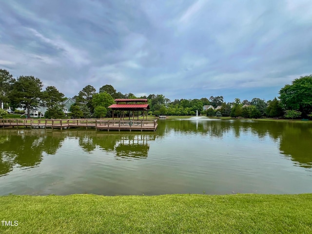 1209 Shasta Daisy Dr, Wake Forest, NC 27587 - water view