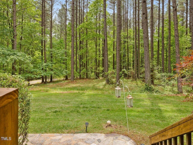 3009 Pleasant Hill Church Rd, Siler City, NC 27344 - view of green lawn with a forest view