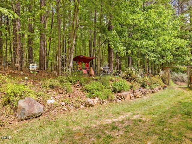 3009 Pleasant Hill Church Rd, Siler City, NC 27344 - view of green lawn featuring a wooded view