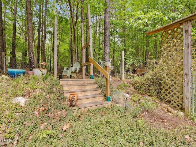 3009 Pleasant Hill Church Rd, Siler City, NC 27344 - view of yard