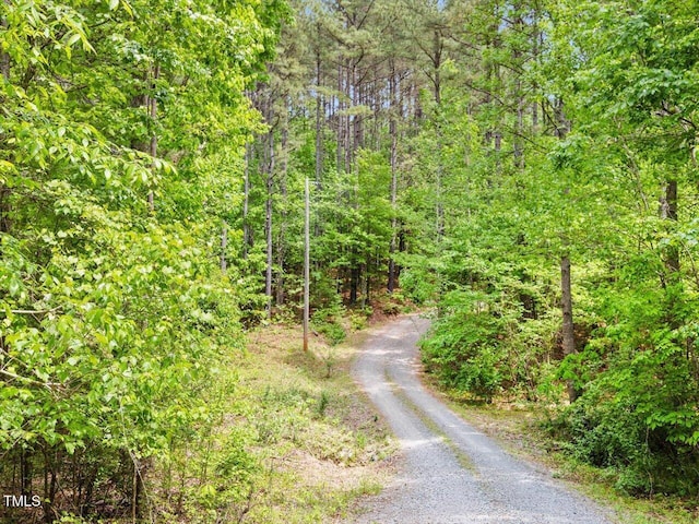 3009 Pleasant Hill Church Rd, Siler City, NC 27344 - view of dirt / gravel road with a forest view