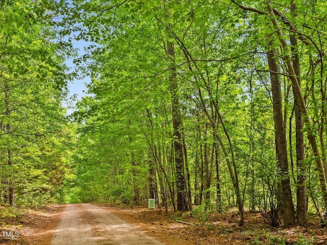 3009 Pleasant Hill Church Rd, Siler City, NC 27344 - view of street featuring a view of trees