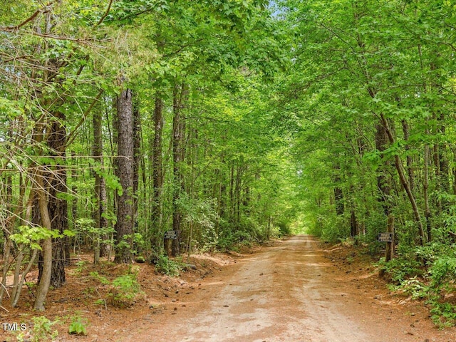 3009 Pleasant Hill Church Rd, Siler City, NC 27344 - view of dirt / gravel road with a view of trees